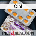 Cial new12
